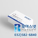 디케이엠티 이미지