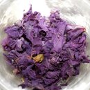 동서한방병원 이미지