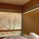 모모의 숲 이미지