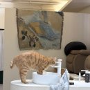 흥덕농장 | 청주가경동네일샵 네일드메종, 꼼꼼시술 이달의아트 후기