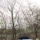 대궐오토캠핑장 이미지