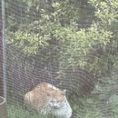 백양휴블리제풀빌라 이미지