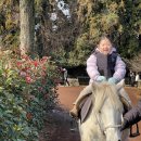 서하목장 이미지