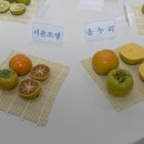 누리통상