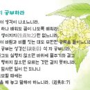 중용 이미지
