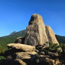 대지 행정사사무소 이미지