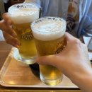 꽃내음어린이집 | 삿포로 여행 3일차 : 마이리얼트립 엔데이트립 후라노 비에이 투어 꿀팁과 후기 (미친 더위를 곁들인)