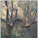 연천 미라클타운 이미지