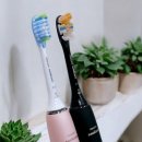 음파 | 필립스 소닉케어 음파 전동칫솔 추천 사용 후기