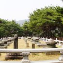 세종대왕자 태실 이미지