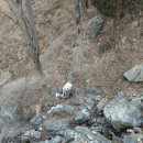 장수천약수터 이미지