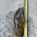 웰컴투오미골 이미지