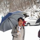 시원 이미지