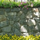 정다운재가노인복지센터 이미지