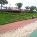 안성천 둔치공원 1 이미지