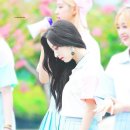 보나 이미지