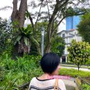 크림슨스튜디오 | 싱가포르 버드파라다이스 펭귄 식당 입장권 트램 여행지 투어 코스 준비