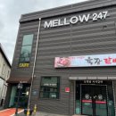 멜로우247 이미지
