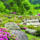 복음한의원 이미지