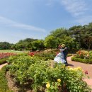 몽마르뜨 이미지