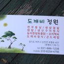 도깨비쌈밥 이미지