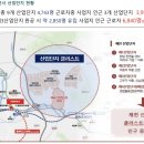 루하스 이미지