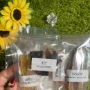 더야무지개 이미지