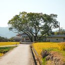 불로3호어린이공원 (144번) | [전라남도 구례군] [지리산둘레길] 방광-산동