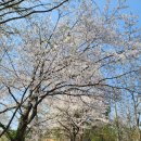 동천서로 이미지