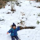 지완목장 이미지