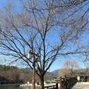 내토로15길 | 제천 맛집 쭈꾸미볶음 들깨칼국수 꿀조합 불나는쭈꾸미 점심 추천