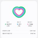 뱅뱅 복싱클럽 | 2026 어썸뮤직페스티벌 후기 🎆