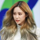 조에룸 이미지