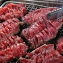 포토당 이미지