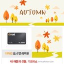 광신직영두대셀프