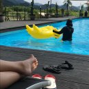 수진닭집 이미지