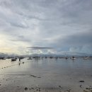 연수경찰서내 | 세부 어학연수 중 보홀여행 day 2_돌고래 왓칭, 발리카삭 호핑투어 갔다가 도난당한 후기