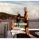 라피에스타 이미지