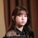 솜댕 이미지
