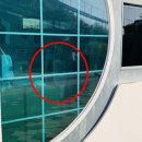 신기공중화장실 헤럴드경제