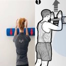 렛츠고짐 이미지