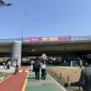 &lt;양재천&gt; 벚꽃아틀리에 , 양재천 아트마켓 막 다녀온 후기 양재천 벚꽃놀이