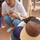 일월꽃식물원 이미지