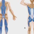 스웻하우스 이미지