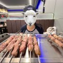 일품양꼬치 | 평택역 양꼬치 맛집 찾았다! 잡내없는 백년일품양꼬치 솔직후기