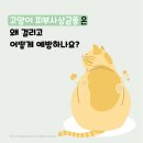 창현동물병원 이미지