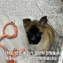 토리스토리 이미지