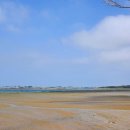 대한기술.일반행정사사무소 이미지