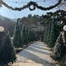 산장다방 - 53112 | 대룡산장 내돈내산 후기