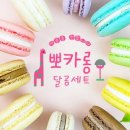 달곰마카롱 이미지